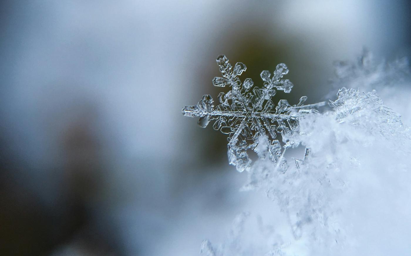 focused photo of a snow flake by Aaron Burden courtesy of Unsplash.