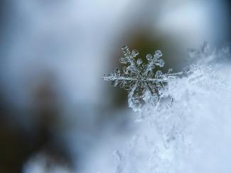 focused photo of a snow flake by Aaron Burden courtesy of Unsplash.