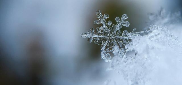 focused photo of a snow flake by Aaron Burden courtesy of Unsplash.