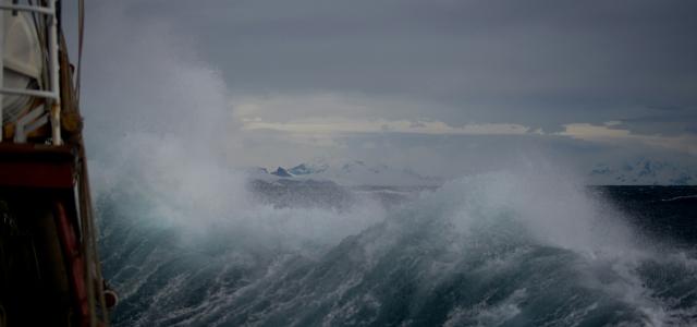 huge wave at daytime by Torsten Dederichs courtesy of Unsplash.