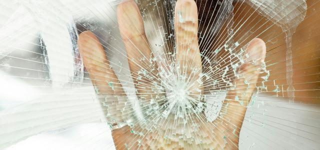 person holding white dandelion flower by Vinicius Marques courtesy of Unsplash.