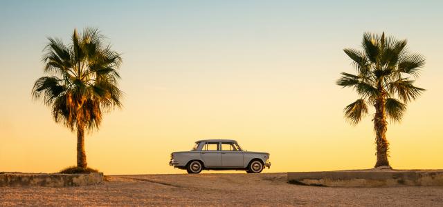 white and black car on brown sand during daytime by Mateo Giraud courtesy of Unsplash.